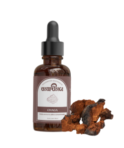 CHAGA- DOBLE EXTRACTO 100ml