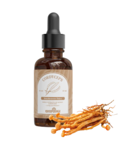CORDYCEPS- DOBLE EXTRACTO 100ml