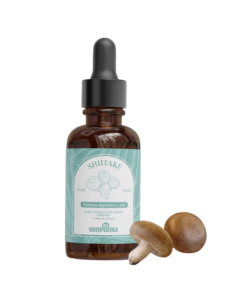 SHITAKE- DOBLE EXTRACTO 100ml